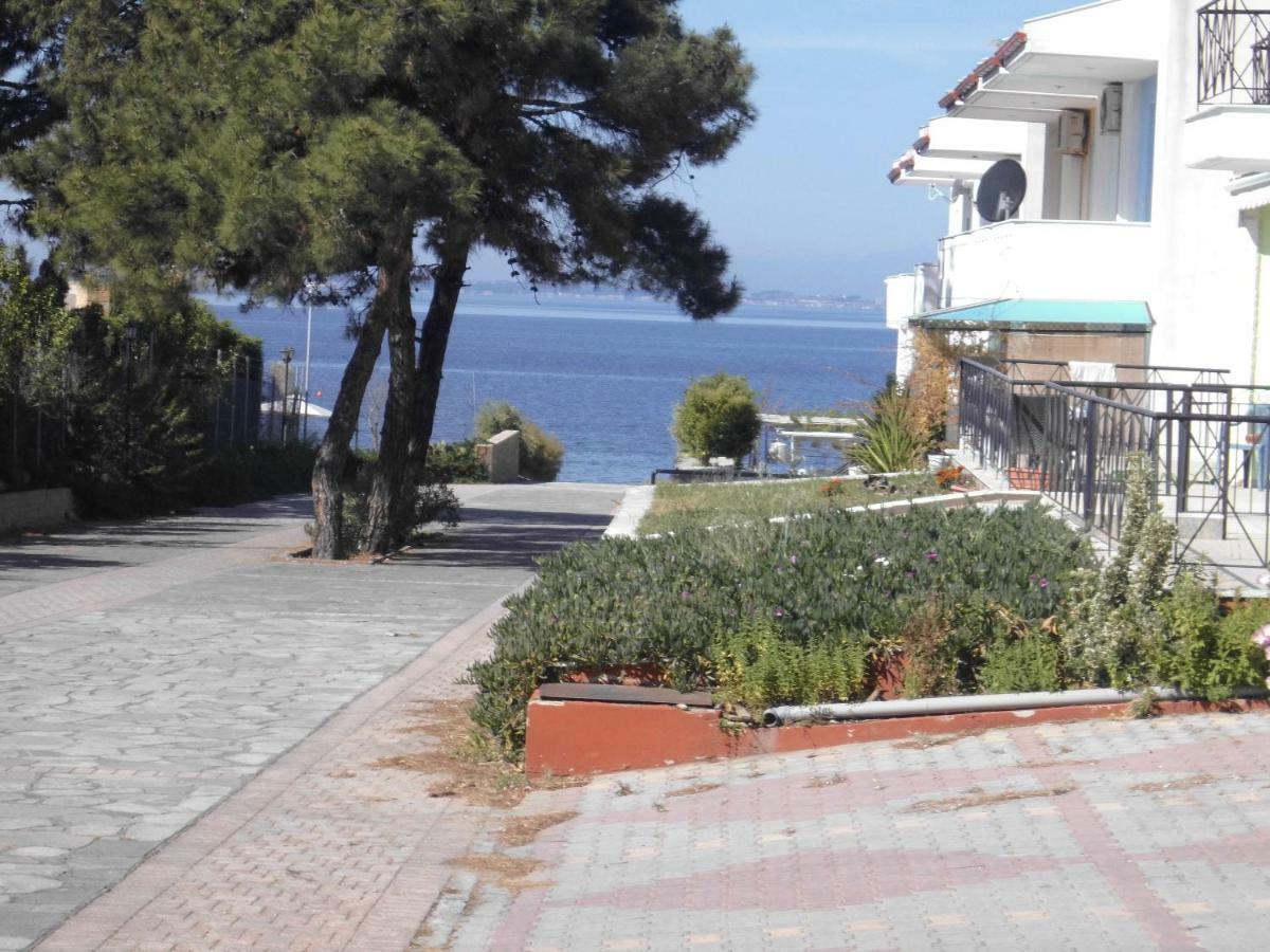 Dafni'S Home 50 Meters From The Beach Gerakini Bagian luar foto
